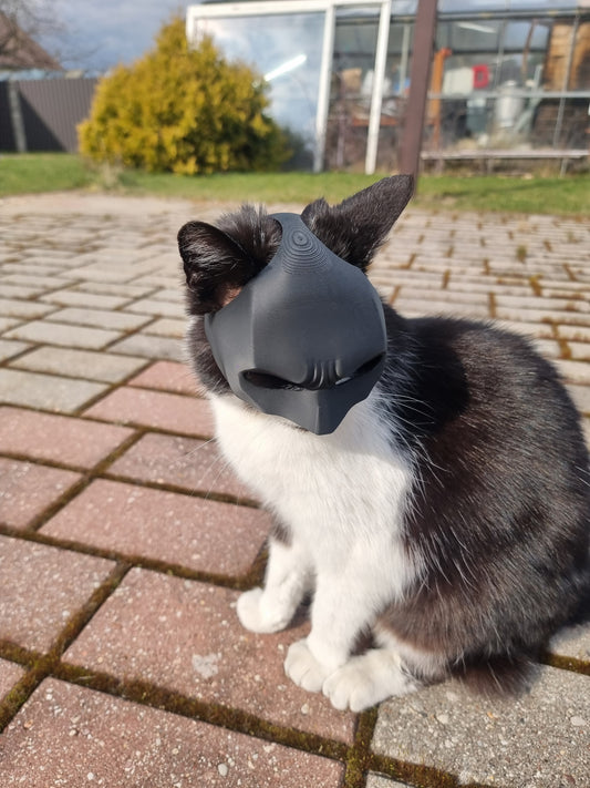 Batcat Mask